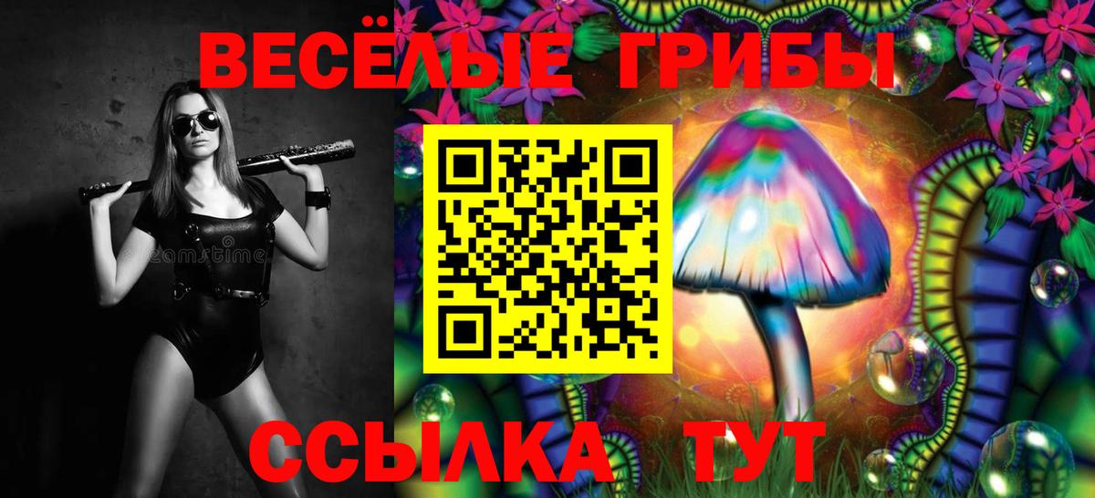 как найти   Псилоцибиновые грибы Cubensis  Вход с VPN  Псилоцибиновые грибы Psilocybine cubensis  Сердобск 